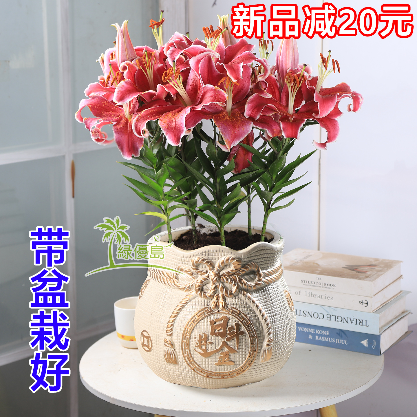 百合花带盆栽好香水带花苞鲜花卉绿植物客厅室外植物