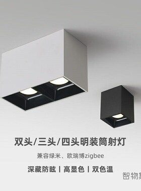 适用华为智能双色温吸顶灯射灯