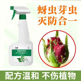 防去除治多肉蜜虫腻虫芽虫杀虫剂月季花卉植物灭蚜虫专用的药喷雾
