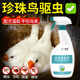 珍珠鸟驱虫药宠物除臭鹦鹉驱虫喷雾清洁玄凤用品体外除虱螨一喷净