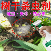 果树蛀虫喷雾树木洞虫钻心虫天牛灭虫除虫杀虫剂无花果树干防虫