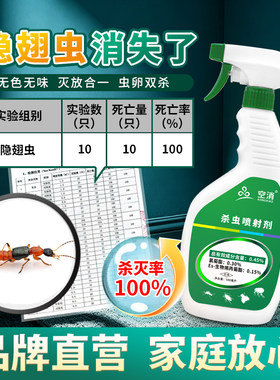 隐翅虫杀虫剂家用室内专用药驱虫防影翅虫非特效非无毒杀虫喷雾剂
