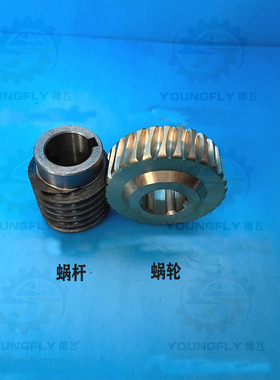 兰州星火CW6163D CW6180D车床溜板箱30齿铜蜗轮 蜗杆