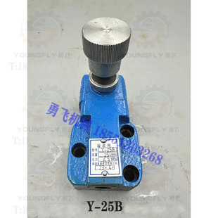 25B溢流阀立车用带压力表接口螺纹 25B 南通富通液压Y