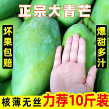 海南芒果正宗青芒10斤新鲜水果包邮当季整箱应季特大青芒果甜心芒