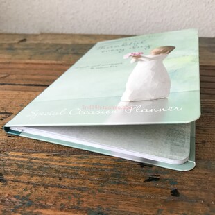 willow tree彩页年度日程本 硬面手帐日记行程安排记录表便携轻薄