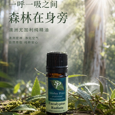 英国尤加利精油提神醒脑10ml