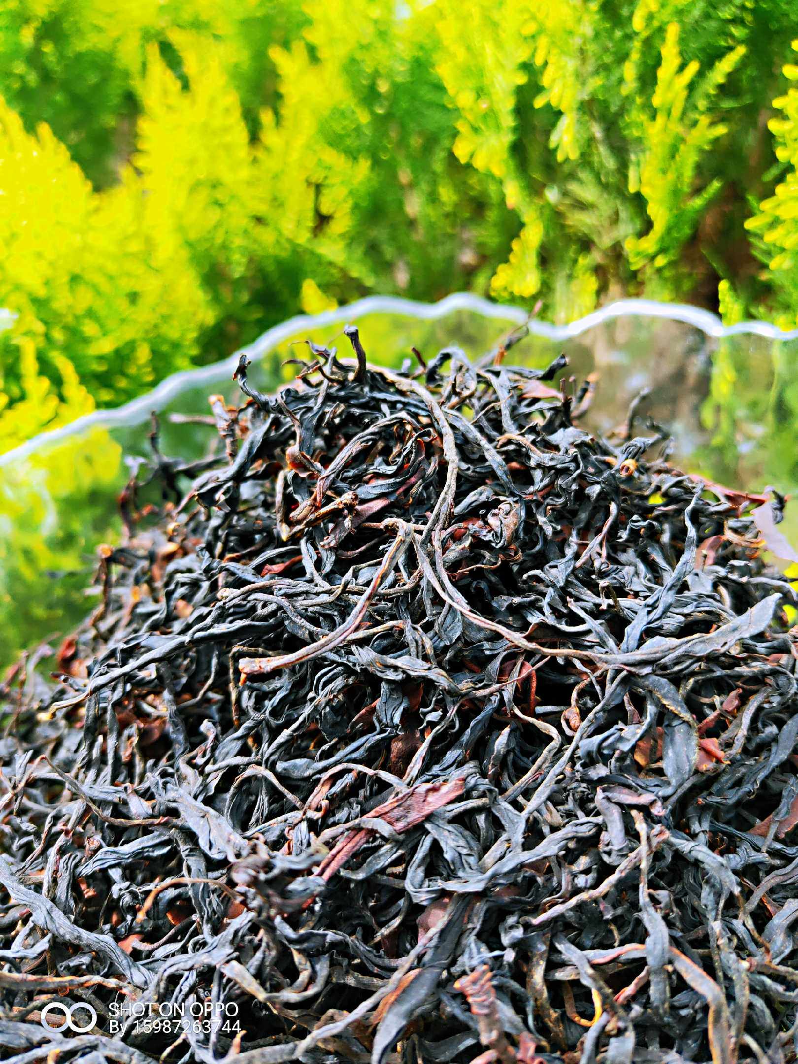 野生红茶,原始森林古树滇红 凤庆茶区,1000克散装