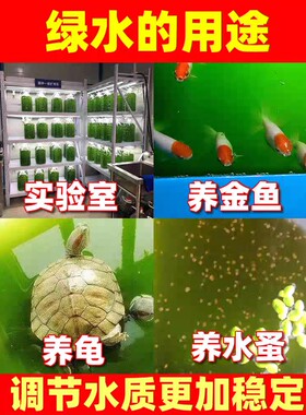 绿水养鱼常备增氧无需换水喂食