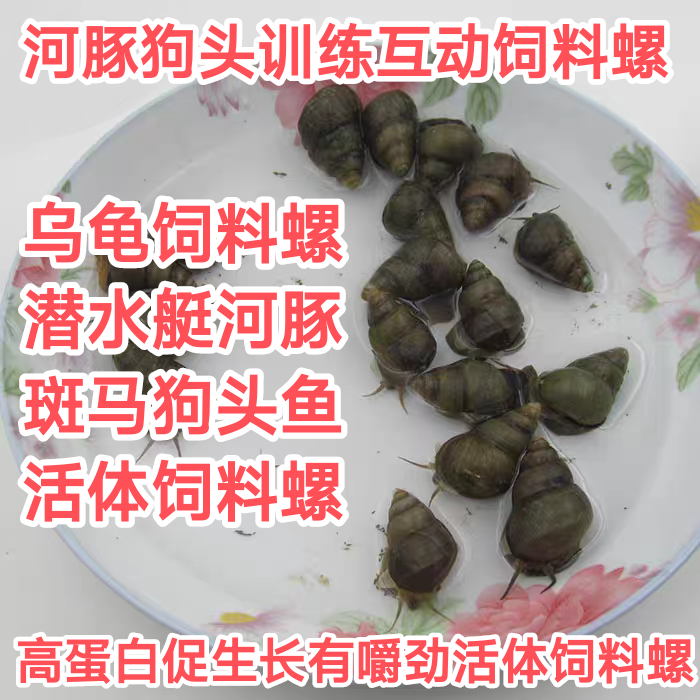 河豚狗头乌龟高蛋白活体饲料螺