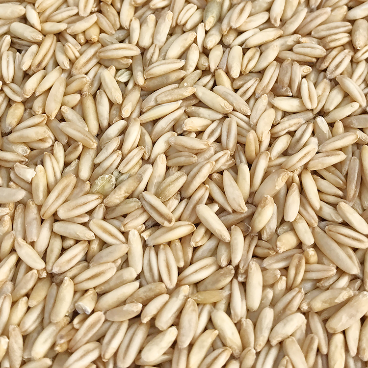 燕麦米鹦鹉鸟食鸟粮5斤