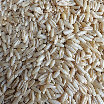 燕麦米虎皮玄凤鹦鹉鸟粮