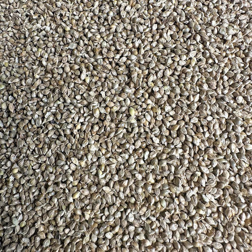 稗子鹦鹉鸟食鸟粮鸟饲料