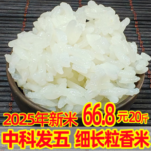 2025年新米东北吉林大米长粒香米（中科发五品种）20斤10kg