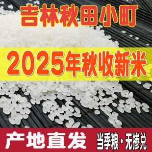 2025年新米东北吉林大米农家秋田小町米寿司米粳米10kg20斤