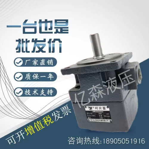 仙居YCL永灵叶片泵YB1-2.5/4/6.3/10/12.5/16/20/25/32/63/80/100