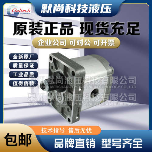 高泰克Galtech齿轮马达1SM-A-009/012/016/020/025/032/037-D马达