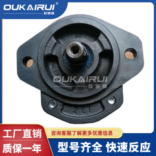 意大利MARZOCCHI马祖奇高压齿轮泵GHP1A-D-2/3/4/5/6/7/11FG油泵