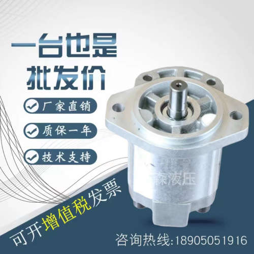 凯斯帕齿轮泵PLP20.4/6.3/8/11.2/14/16/20D0-82E2-LEA/EA-N-EL