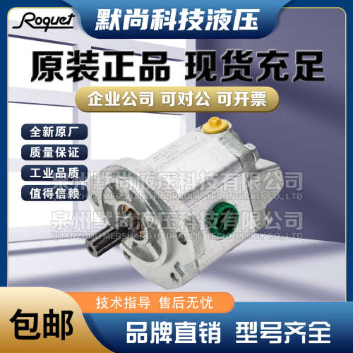 西班牙ROQUET齿轮泵1M0.5/0.7/1/1.25/2DF09R 1M0.5DF09R液压油泵
