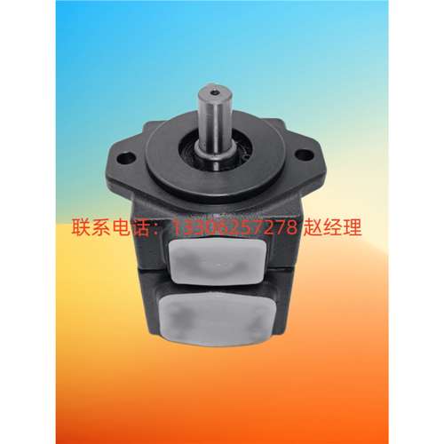 台湾ERLY弋力VPE-F20D/VPEE双联叶片泵 VDC-1A-F30B/C/A/D-20油泵