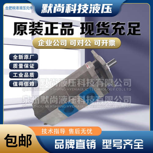 合肥皖液齿轮泵CBKP40/32 40/40 50/32 50/40 50/50 -AF双联油泵