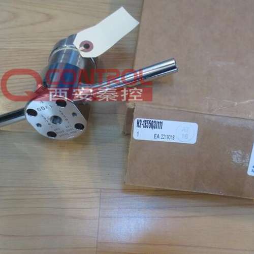 H2-1Z55Q3E114 美国GO调压阀