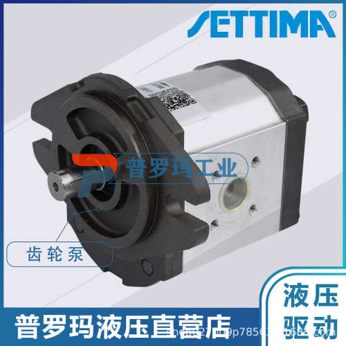 意大利SETTIMA?赛特玛螺杆泵GR382C016FSAEAAT11-FSAEAAT9