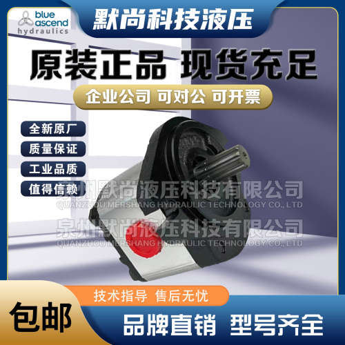 土耳其BLUE ASCEND齿轮泵APH20.040 APH20.060 APH20.080液压油泵