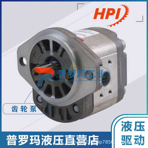 法国进口HPI 进口高压油泵 P1BAN2022BL10B02N齿轮泵法国进口油泵