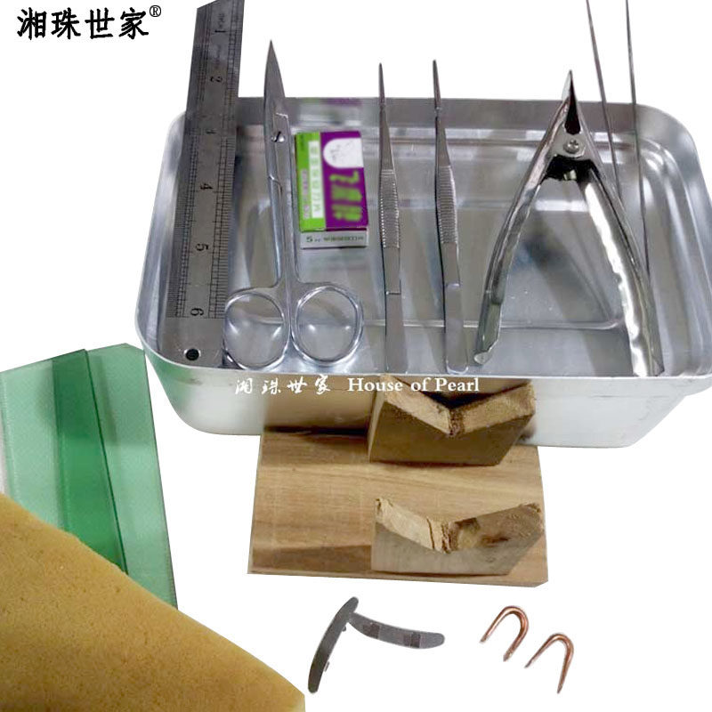 珍珠蚌种植工具三角蚌插种用品开壳器扎珍珠扎小米珠插小片蚌塞珠