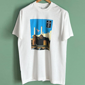 Australian Pink Filoyd致敬平克·弗洛伊德乐队美式 The 短袖 T恤