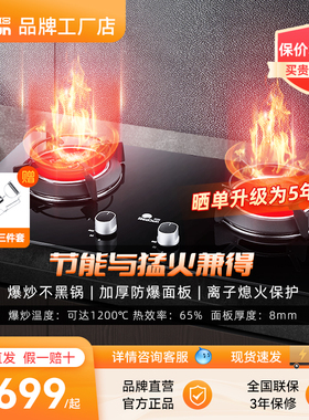 Redsun/红日 EM318B/BP红外线燃气灶天然气液化气家用猛火双灶