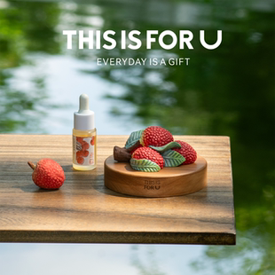 THISISFORU南国记忆荔枝扩香石香薰礼盒香挂家居无火香氛创意摆件