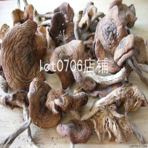 Новый грузовый Daxingan Ling Wild Grass Mushroom Северо -восток