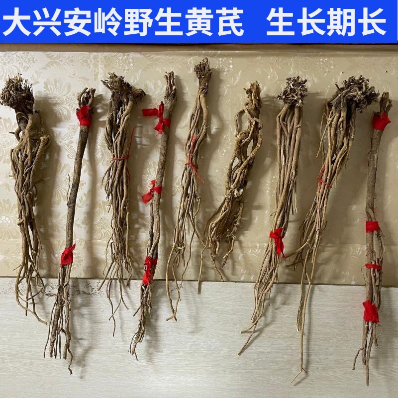 野生黄芪根大兴安岭老根黄芪