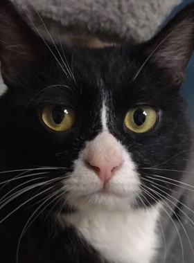 我们要上新品了，期待一下吧