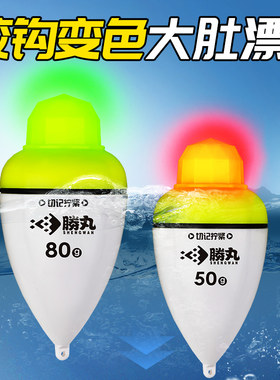 鱼漂大肚漂远投海钓抛竿夜光漂
