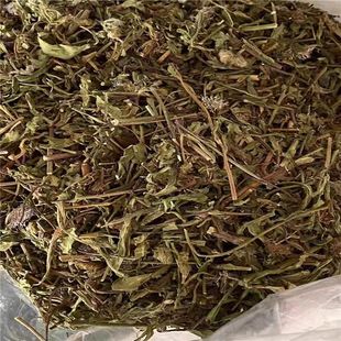 【仁杰老师】灯盏细辛 道地好物