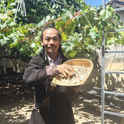 仁杰老师道地好物 青龙参250克*袋