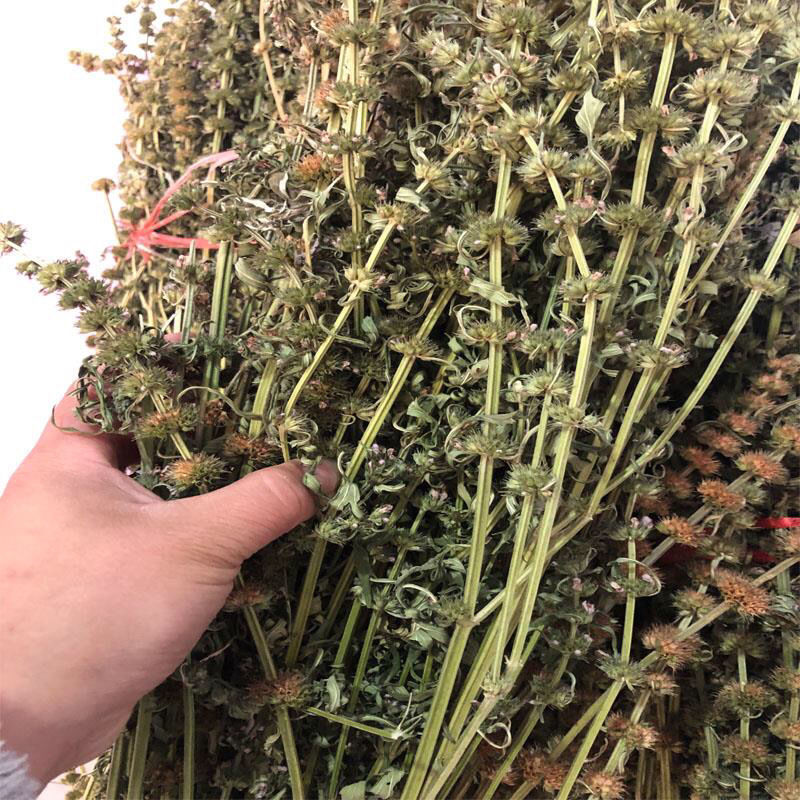 仁杰老师传授工作 坤宝膏250克*罐
