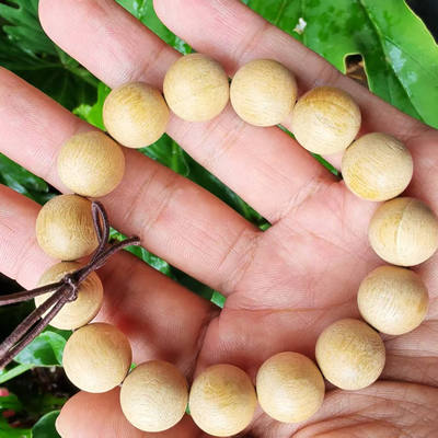 【仁杰老师】千军木手串