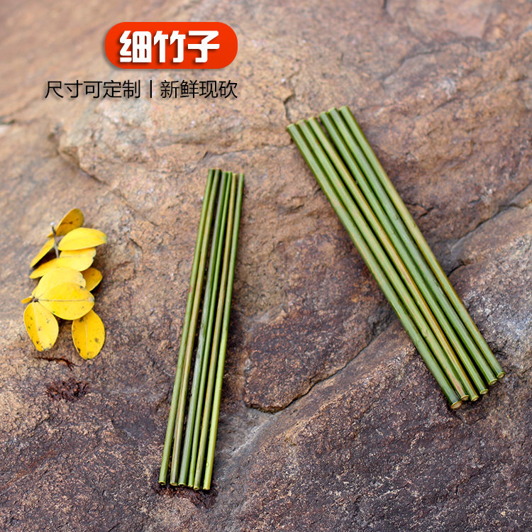 新鲜小竹竿子竹棍竹棒绿