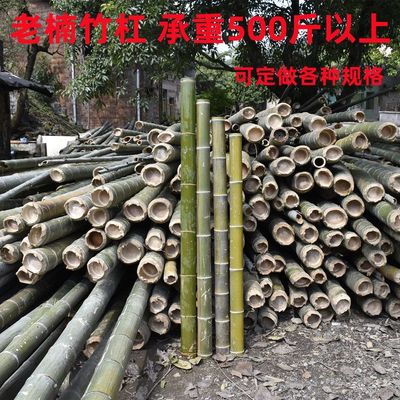 定制圆竹楠竹毛竹扁担竹