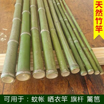 竹竿新鲜婚庆竹材料生日场景小孩子做早操竹段幼儿园儿童登山竹棍