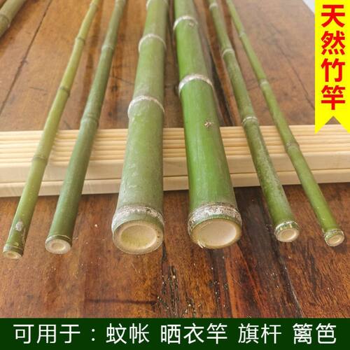 竹子竹棍天然竹子粗细小竹竿