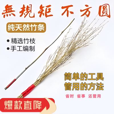 熊孩子神器楠竹鞭教竹枝