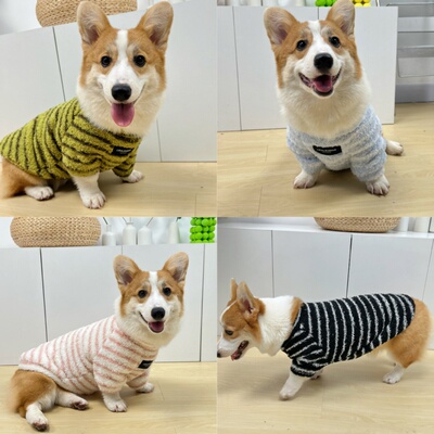 柯基柴犬衣服秋冬保暖加绒加厚条纹卫衣雪纳瑞腊肠中型犬狗狗衣服
