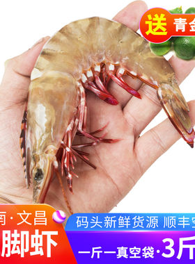 野生海南文昌船冻空运虾红脚新鲜