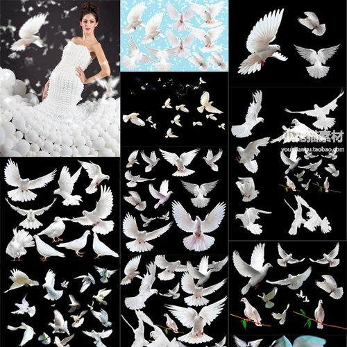 合成psd素材模板 合成psd图片下载 小麦优选